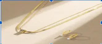 Palmonas gold chain necklace displayed on a minimal background